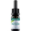 Medihemp CBD olaj 10% 10 ml Harmonie